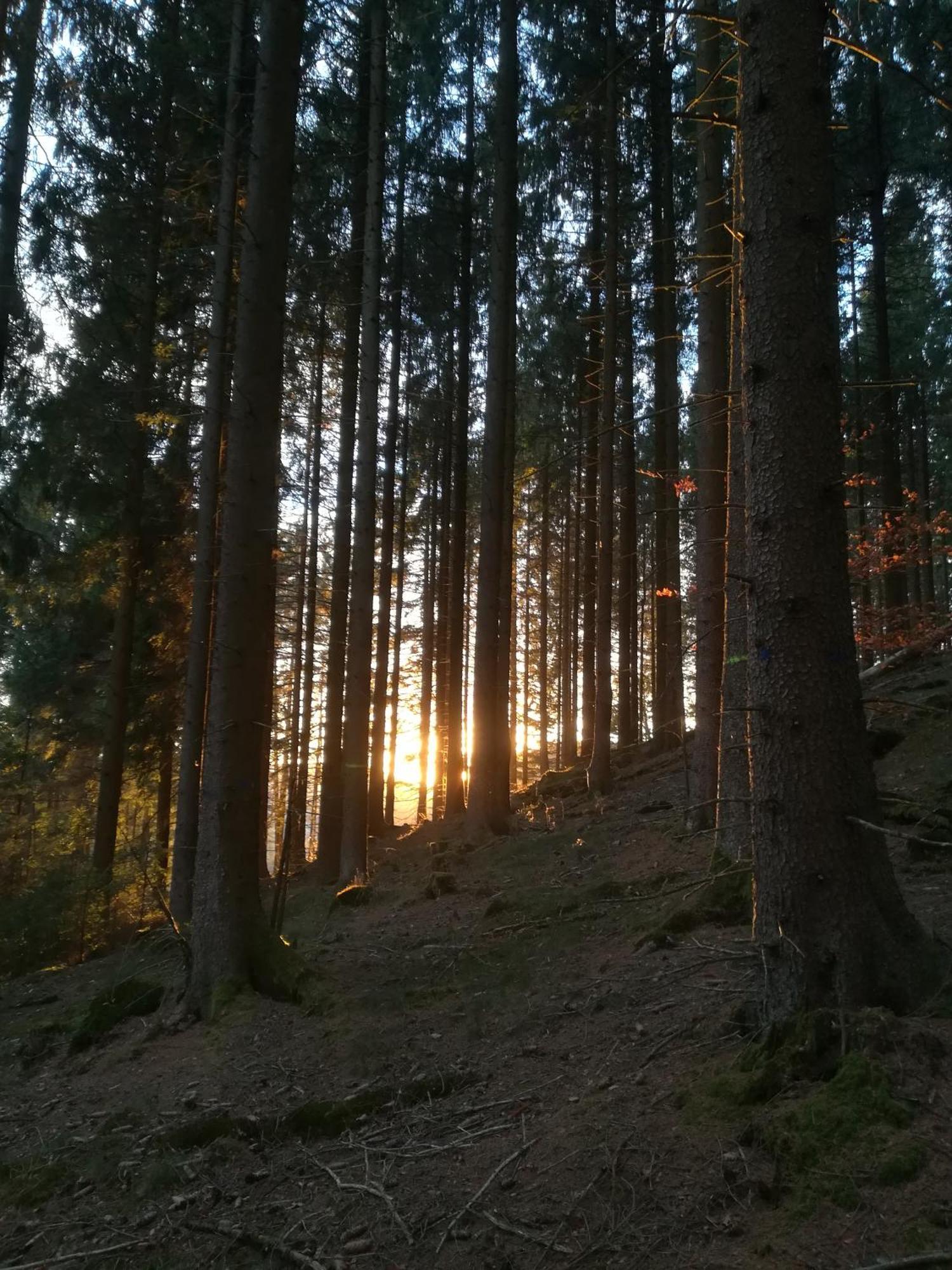 Ferienwohnung Sonnenhuegel Wildemann Kültér fotó
