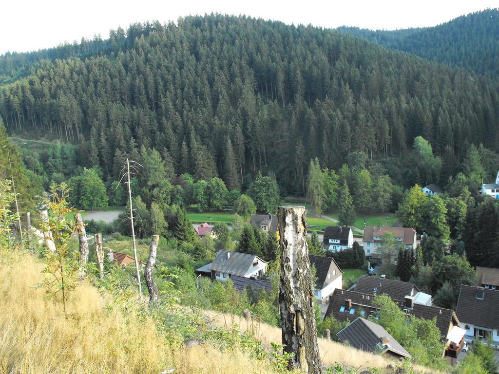 Ferienwohnung Sonnenhuegel Wildemann Kültér fotó