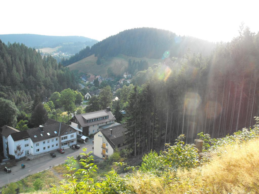 Ferienwohnung Sonnenhuegel Wildemann Kültér fotó
