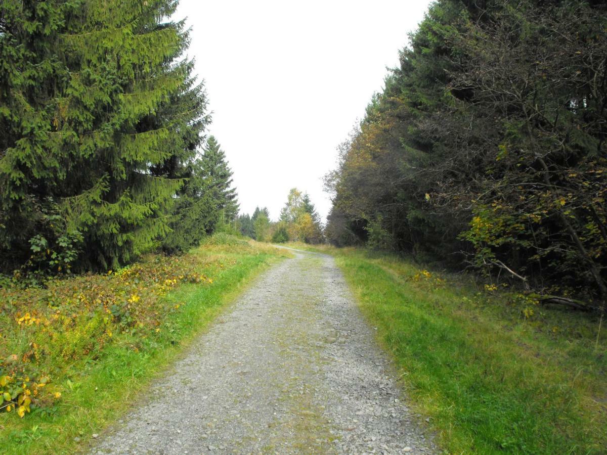 Ferienwohnung Sonnenhuegel Wildemann Kültér fotó