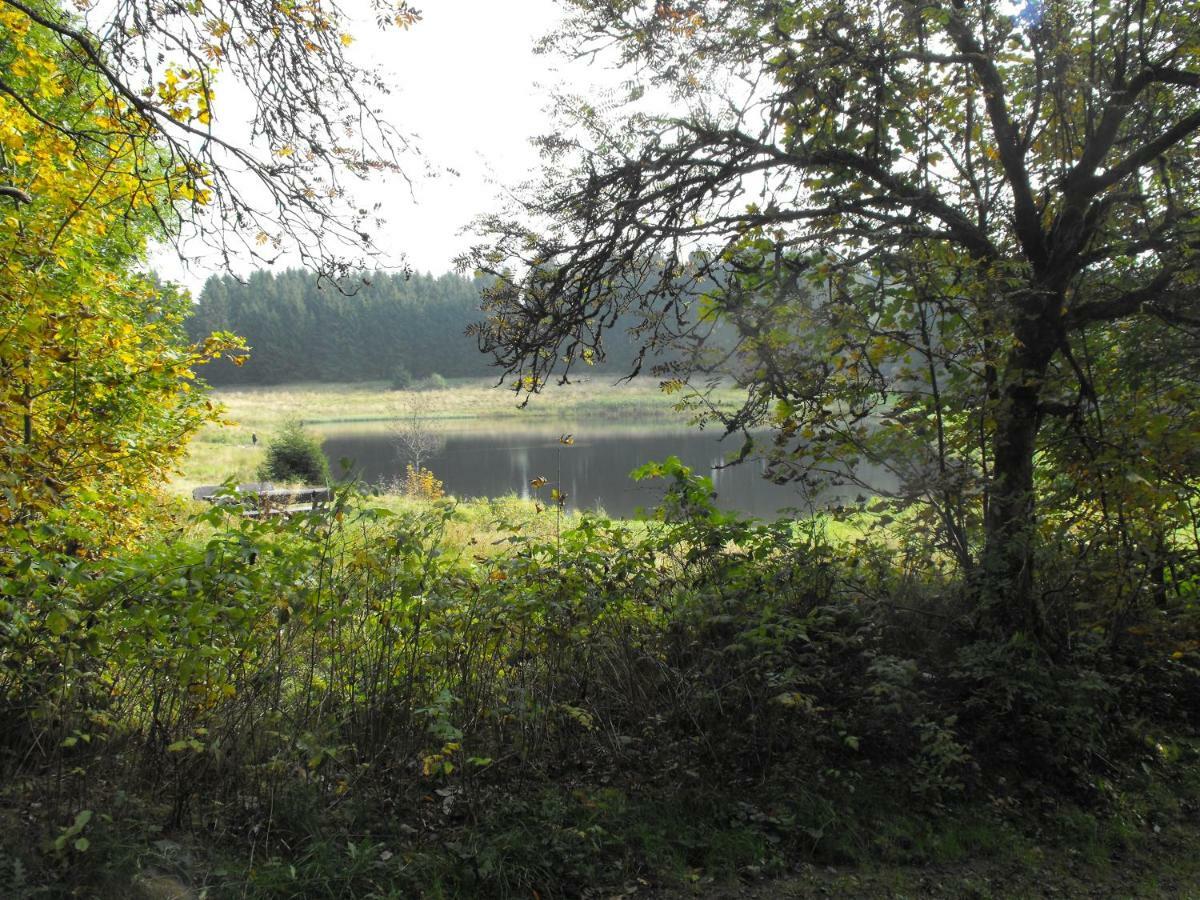 Ferienwohnung Sonnenhuegel Wildemann Kültér fotó